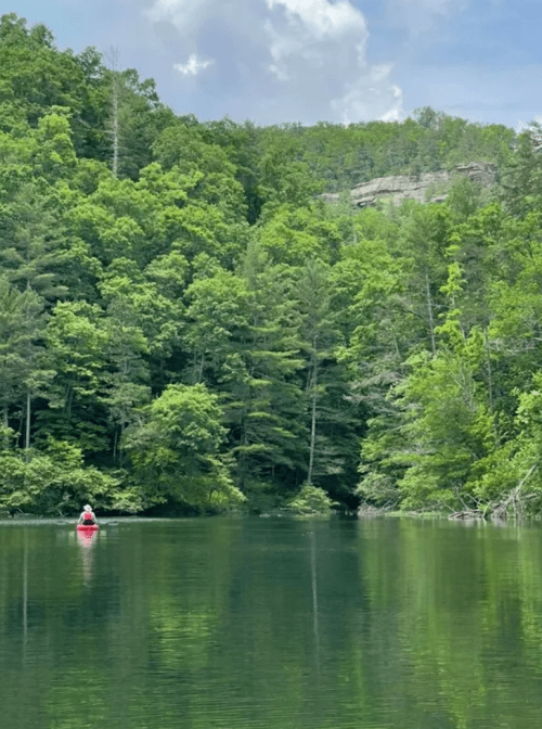 A person in a red kayak paddles on a calm lake surrounded by lush green trees and a rocky cliff in the background.