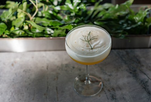 A cocktail in a coupe glass, topped with foam and a sprig of herb, set against a backdrop of lush greenery.