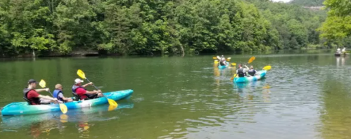A group of people kayaking on a calm river surrounded by lush green trees.