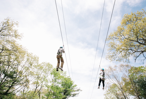 Two people ziplining through a forested area under a bright sky, surrounded by green trees.