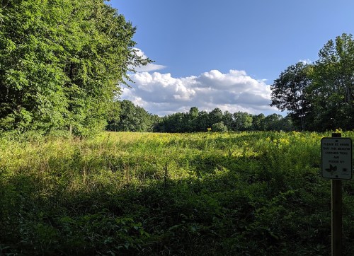A sunny field surrounded by trees, with a sign warning about poisonous plants in the foreground.