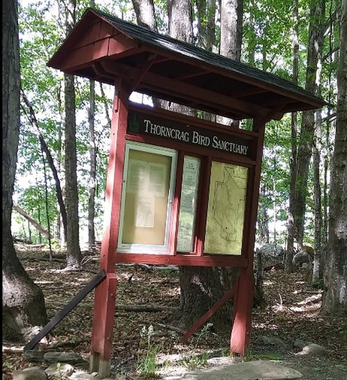 Sign for Thorncrag Bird Sanctuary surrounded by trees, displaying maps and information about the sanctuary.