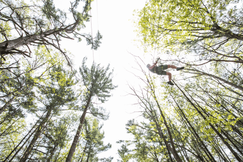 A person zip-lining through a forest, surrounded by tall trees and bright green leaves.