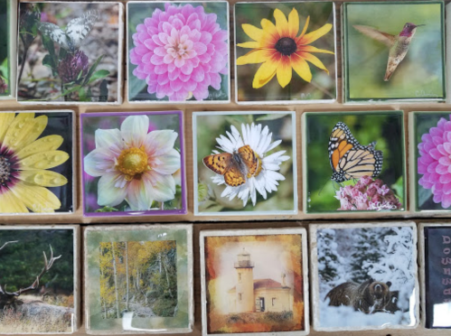 A collage of nature-themed tiles featuring flowers, a hummingbird, butterflies, and wildlife images.