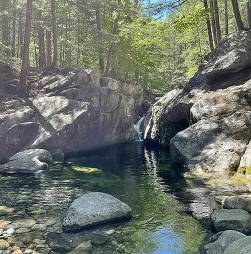 A serene forest scene featuring a clear pool of water surrounded by rocks and trees, with a small waterfall in the background.