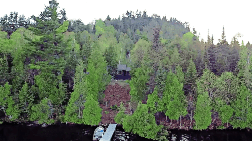 Aerial view of a cabin nestled among lush green trees by a calm lake, with a small dock and boat nearby.