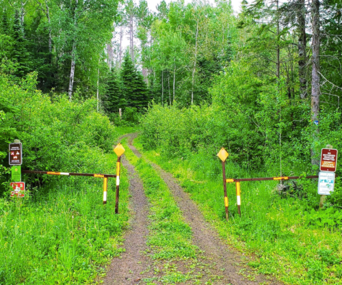 A dirt path leads into a lush green forest, marked by a closed gate with signs on either side.