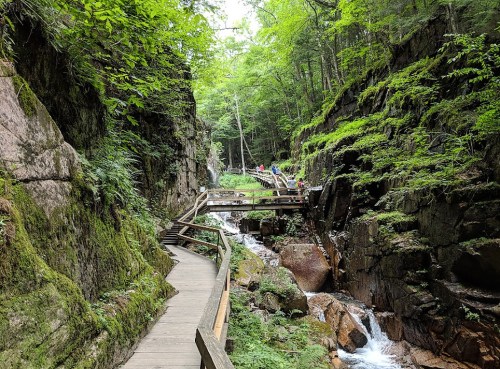 A wooden path winds through a lush green canyon with a stream and people in the distance.