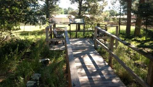 A wooden walkway leads to benches surrounded by tall grass and trees in a serene outdoor setting.