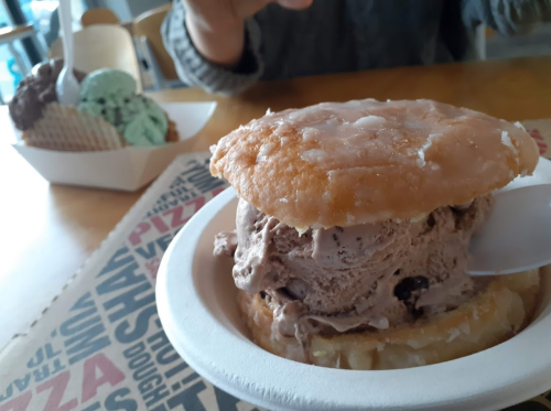 A donut sandwich filled with chocolate ice cream, with a scoop of mint chocolate chip ice cream in the background.
