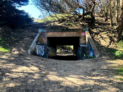 A graffiti-covered tunnel entrance surrounded by trees and dirt, labeled "Battery Davis."