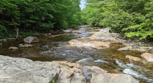 A serene river flows over rocky beds, surrounded by lush green trees and a clear blue sky.