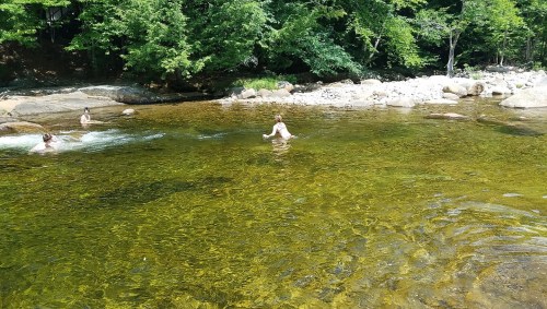 People swimming in a clear, shallow river surrounded by lush green trees and rocky banks.