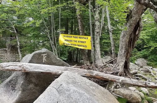 A bright yellow sign reading "$5 River Tube Rentals" hangs among trees, with rocks and a fallen log in the foreground.