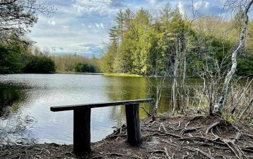 A wooden bench by a serene lake surrounded by lush greenery and trees under a partly cloudy sky.