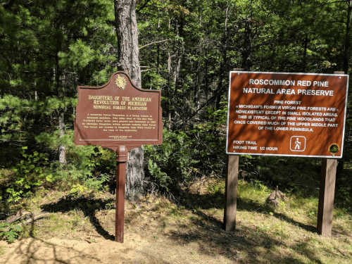 Two signs in a forest: one commemorates the Daughters of the American Revolution, the other details the Roscommon Red Pine Preserve.