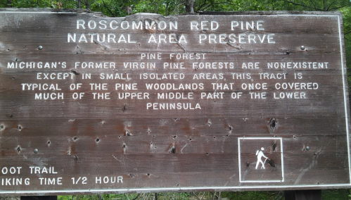 Sign for Roscommon Red Pine Natural Area Preserve, detailing the area's pine forest and hiking trail information.