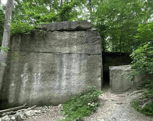 Large, weathered stone blocks in a wooded area, surrounded by greenery and trees.