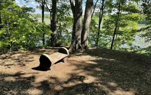 A rustic wooden bench under trees by a serene lakeside, surrounded by greenery and dappled sunlight.