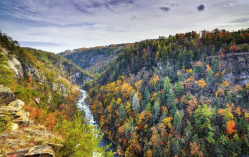 A scenic view of a river winding through a colorful forested canyon in autumn.