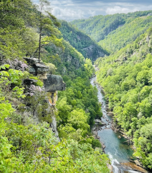 Lush green valley with a winding river, surrounded by steep cliffs and trees under a cloudy sky.