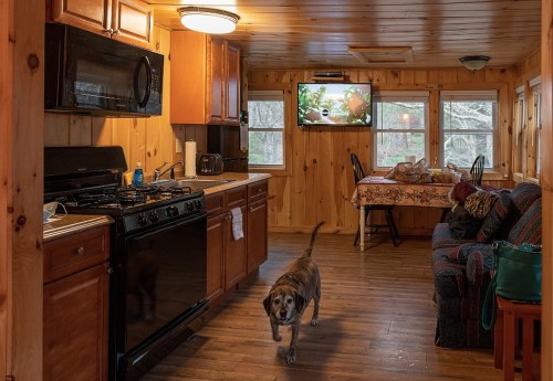 Cozy wooden kitchen with a dog walking, a dining table, and a sofa, featuring warm lighting and natural decor.