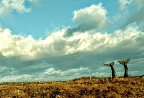 Two large whale tail sculptures against a cloudy sky, set in a grassy landscape.