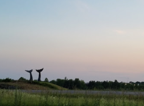 Two large whale tail sculptures against a pastel sky, surrounded by greenery and a distant road.