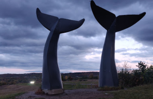 Two large whale tail sculptures against a cloudy sky, set in a grassy area with distant hills.