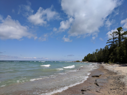 A serene beach scene with gentle waves, sandy shore, and trees under a partly cloudy sky.
