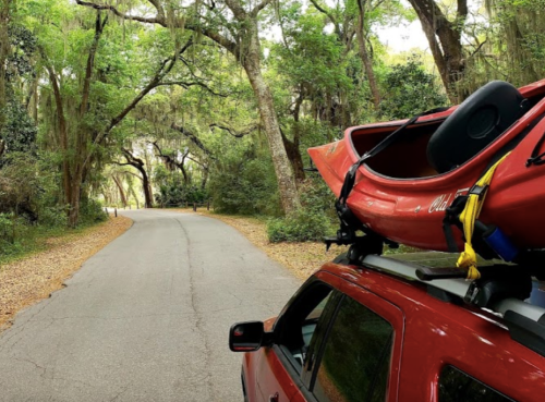A red car with a kayak on its roof parked on a tree-lined road surrounded by lush greenery.