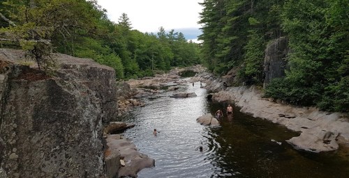 A serene river flows through rocky terrain, surrounded by lush green trees, with people swimming and exploring the water.