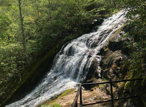 A cascading waterfall flows over rocks, surrounded by lush green foliage in a serene forest setting.