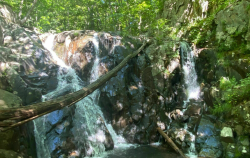A serene waterfall cascades over rocky terrain, surrounded by lush green trees and dappled sunlight.