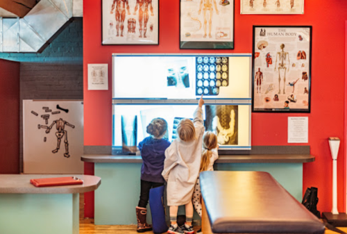Three children in lab coats examine X-ray images on a display in a colorful educational space about the human body.