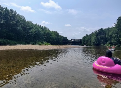 A person in a pink inner tube floats on a calm river, surrounded by trees and a distant bridge under a blue sky.