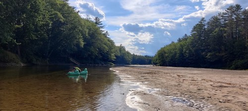 A person in a green kayak paddles on a calm river surrounded by trees and a sandy shore under a blue sky.