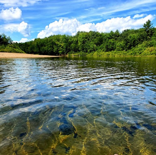 A serene river scene with clear water reflecting blue skies and fluffy clouds, surrounded by lush green trees.