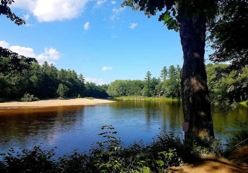 A serene river scene with lush green trees, a sandy bank, and a clear blue sky reflecting on the water's surface.