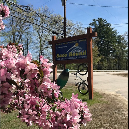 Sign for Saco Bound Outdoors with a bike and kayak, surrounded by blooming flowers and trees.