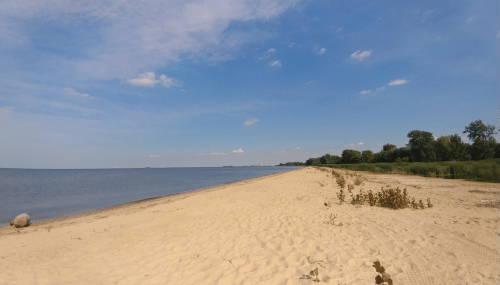 A serene beach scene with soft sand, calm water, and a clear blue sky, lined with trees in the distance.