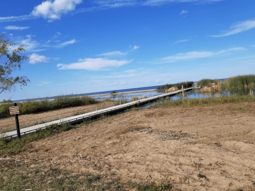 A wooden dock extends into a calm lake, surrounded by tall grasses and a clear blue sky with scattered clouds.