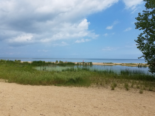 A serene beach scene with sandy shore, green grass, and calm water under a partly cloudy sky.