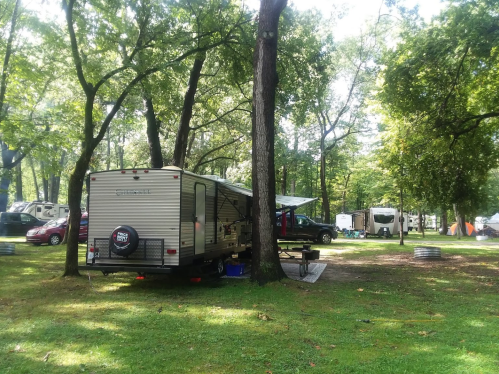 A camper parked in a wooded campsite, surrounded by trees and other RVs, with a picnic table nearby.