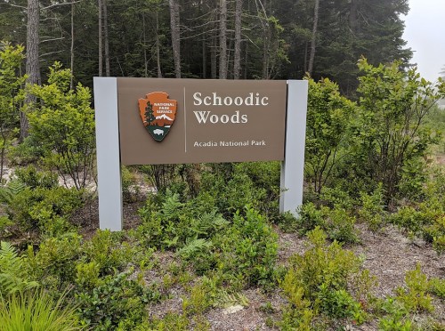 Sign for Schoodic Woods at Acadia National Park, surrounded by greenery and trees.