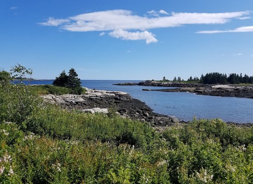 A serene coastal landscape featuring rocky shores, calm blue water, and lush greenery under a clear sky.