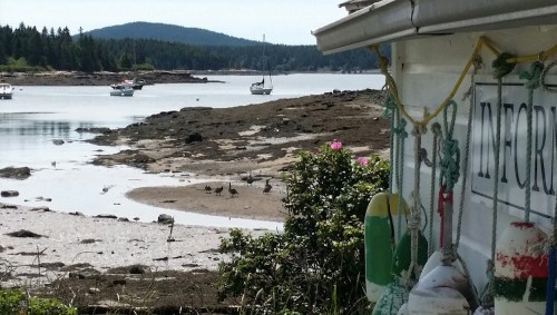 A coastal scene with boats in the distance, rocky shore, and greenery, under a clear sky.