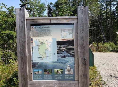 A wooden sign displaying a map and information about exploring Schoodic, surrounded by trees and rocky terrain.