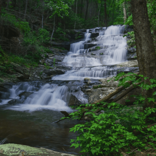 A serene waterfall cascades over rocky steps, surrounded by lush green foliage and trees in a tranquil forest setting.