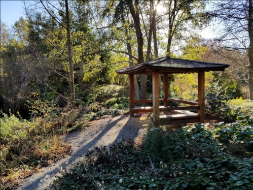 A wooden gazebo surrounded by trees and greenery, with sunlight filtering through the leaves.
